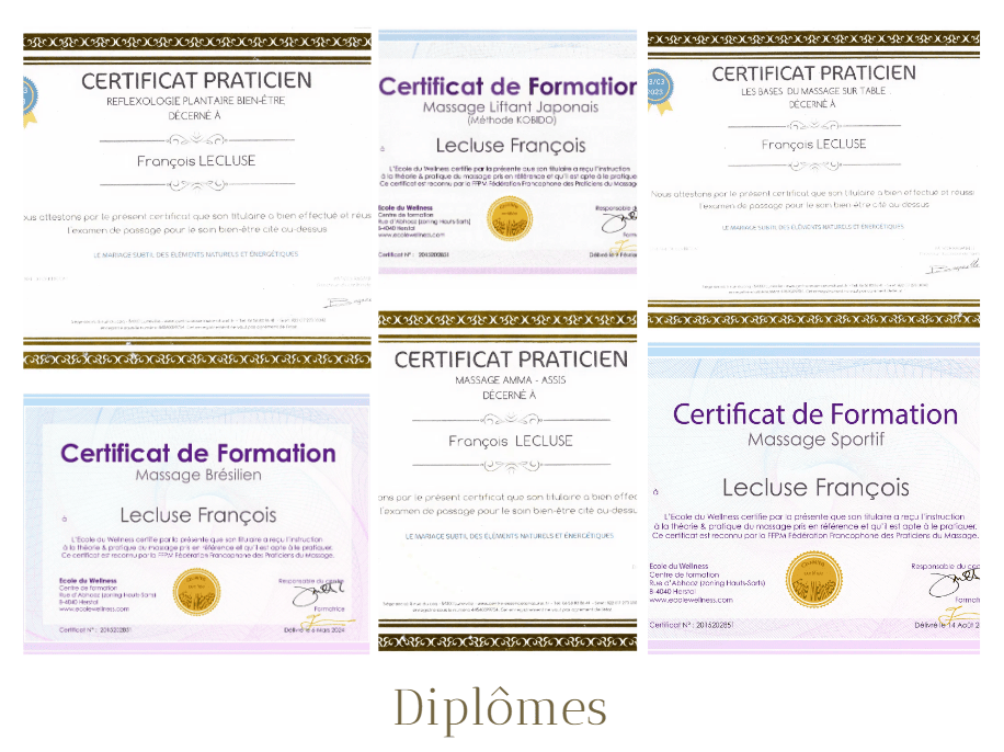 Voici les 6 diplômes de notre massothérapeute